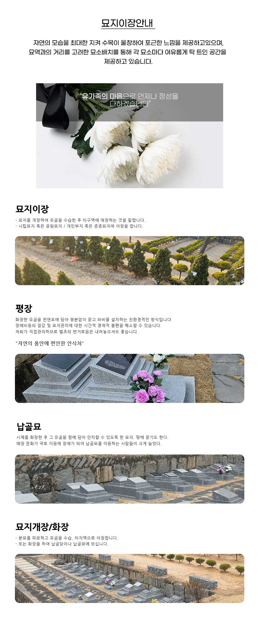서산묘지이장