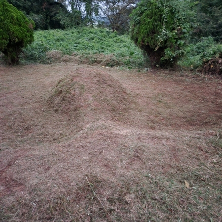 놀뫼장의사 PC 이미지 5575416