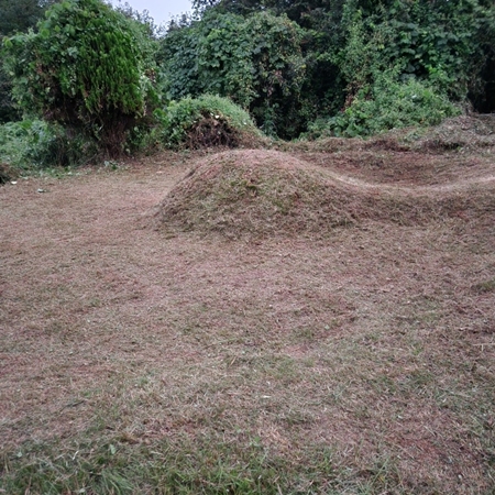 놀뫼장의사 PC 이미지 5575417