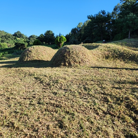 놀뫼장의사 PC 이미지 5575418