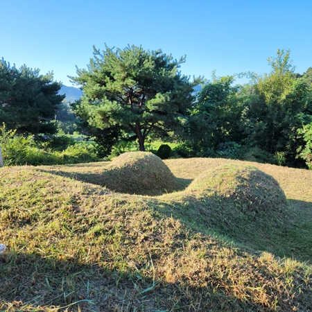 놀뫼장의사 PC 이미지 5575419