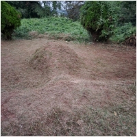 서산묘지관리-5575416