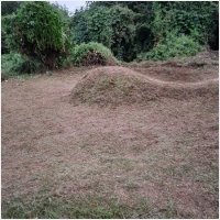 서산묘지관리-5575417