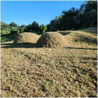 서산묘지관리-5575418