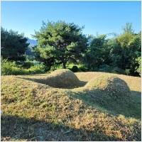 서산묘지관리-5575419