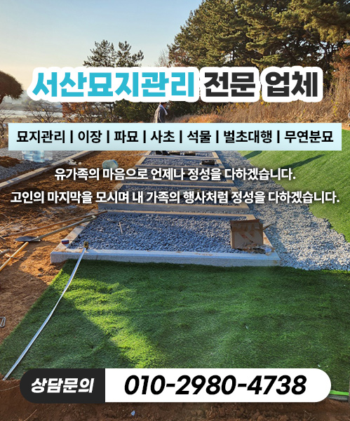 놀뫼장의사 모바일 비주얼 0